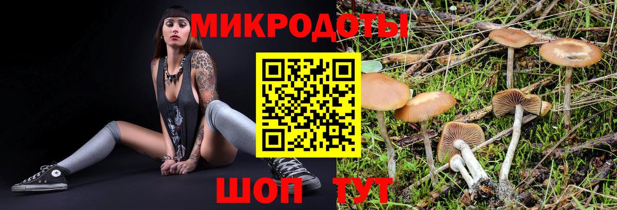 Галлюциногенные грибы MAGIC MUSHROOMS  Вход с VPN  Шарыпово  Псилоцибиновые грибы MAGIC MUSHROOMS 